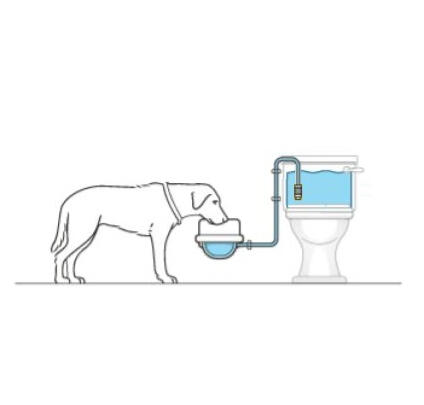 Pulls a siphon easily!