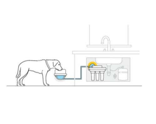 Connect to reverse osmosis filter for the cleanest possible water.